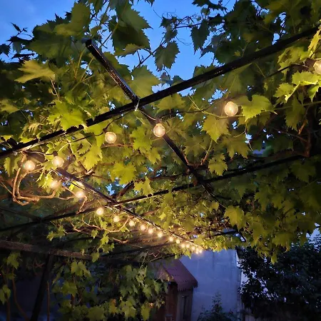 Muzicii 11 - Cozy Seaside Năvodari