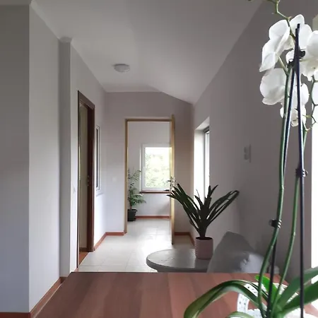 Dom wakacyjny Muzicii 11 - Cozy Seaside