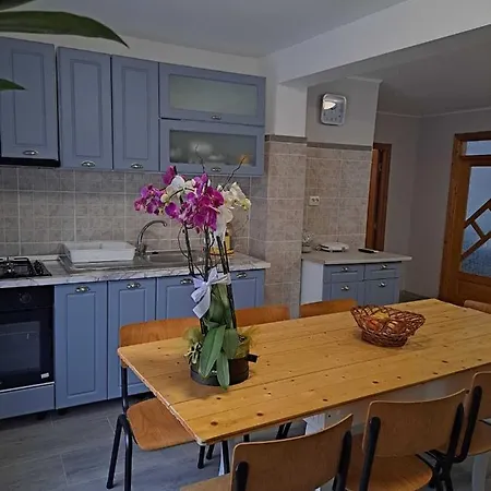 Muzicii 11 - Cozy Seaside