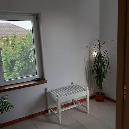 Muzicii 11 - Cozy Seaside