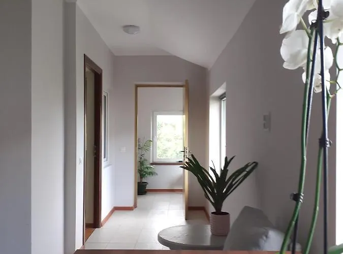 Nyaraló Muzicii 11 - Cozy Seaside