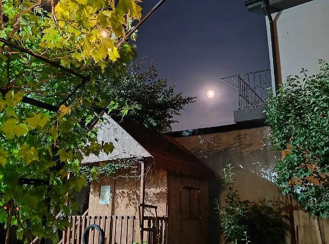 Muzicii 11 - Cozy Seaside