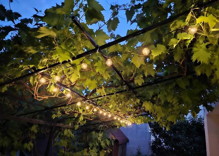 Muzicii 11 - Cozy Seaside Năvodari