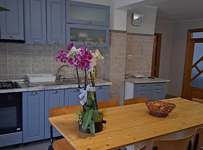 Muzicii 11 - Cozy Seaside